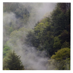 Carreau Brume s'élevant du flanc de la montagne après la p