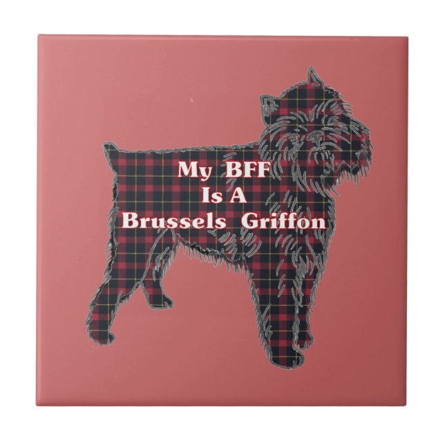 Carreau Bruxelles Griffon BFF (Devant)