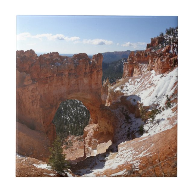 Carreau Bryce Canyon Pont naturel Paysage neigeux Photo (Devant)