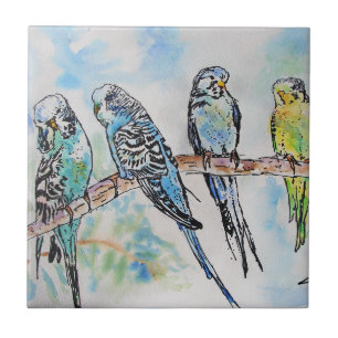 Carreau Budgie Aquarelle Peinture Oiseaux Oiseaux Whimsica