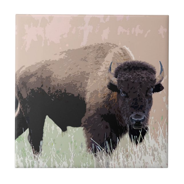Carreau Buffle / Bison (Devant)