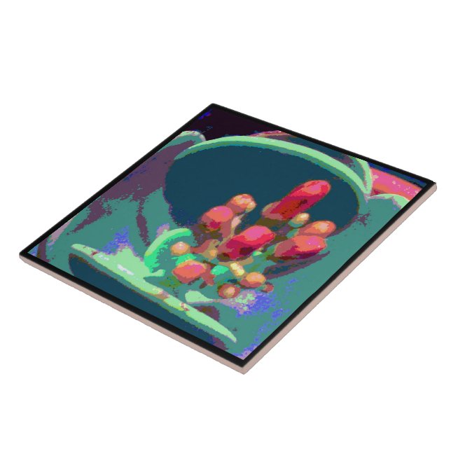 Carreau Bufs d'en haut (Côté)