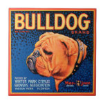 Carreau Bull Dog sur un Arrière - plan bleu<br><div class="desc">Un imprimé de étiquette vintage en caisse illustrant un bulldog avec un arrière - plan à motifs bleus et une bordure orange. Choisissez cette impression d'art sur votre produit Zazzle aujourd'hui.</div>