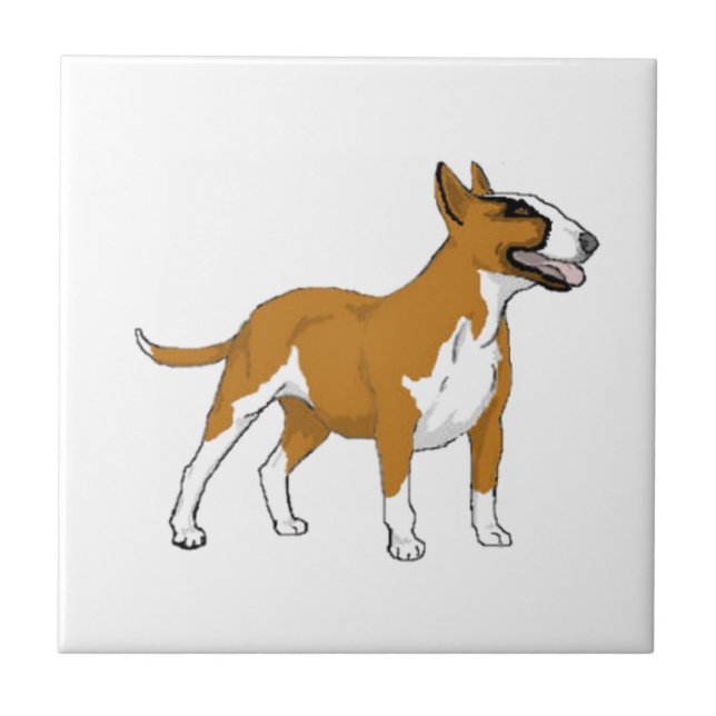 Carreau Bull Terrier — Couleur (Devant)