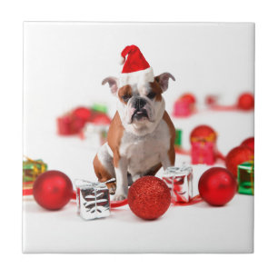 Carreau Bulldog boîte cadeau de Noël Ornements Red Santa C