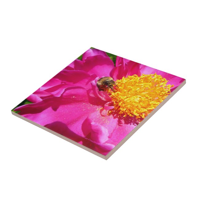 Carreau Bumblebee et Peony (Côté)
