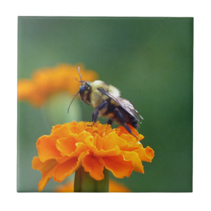 Carreau Busy Bee