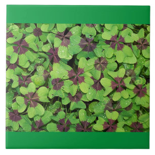 Carreau Câble en céramique Four Leaf Clocher