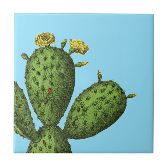 Carreau Cactus avec les fleurs jaunes (Devant)