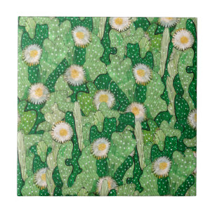 Carreau Cactus Cactus Fleurs Succulentes Camouflage Motif