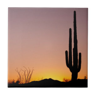 Carreau Cactus de Saguaro au coucher du soleil