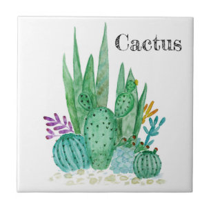 Carreau Cactus watercolor cacti flowers floral desert illu