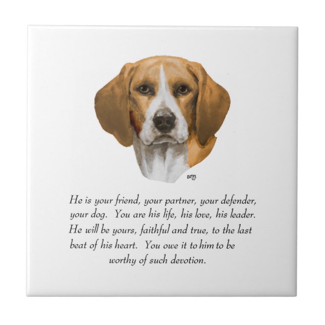 Carreau Cadeau Beagle MÂLE (Devant)