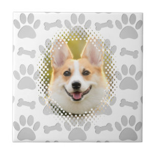 Carreau Cadre De Chien Motif Os Et Empreintes de pattes