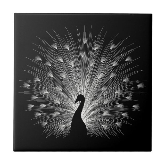 Carreau Calcaire blanc (Devant)