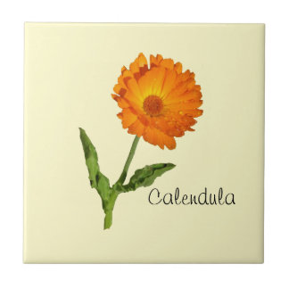 Carreau - Calendula