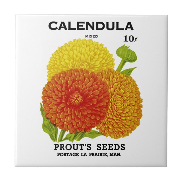 Carreau Calendula Vintage Seed Packet (Devant)