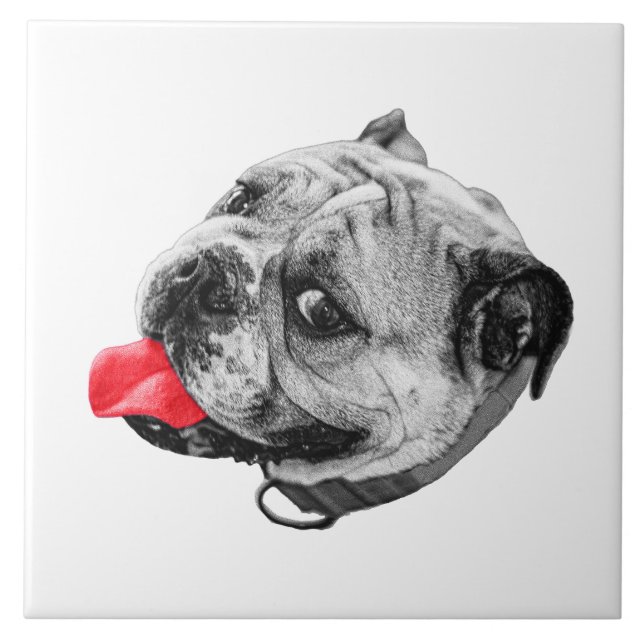 Carreau Calm Set with Warmth (Devant)