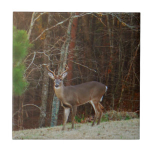 Carreau Camouflage en chêne de cerfs-volants