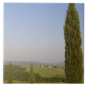 Carreau Campagne près de Pienza. Val d'Orcia, Sienne