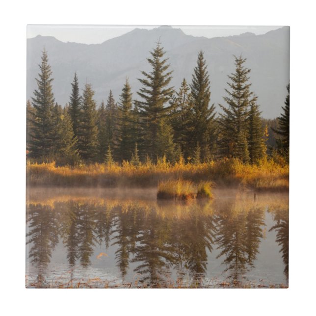 Carreau Canada, Alberta, parc national de Jasper (Devant)