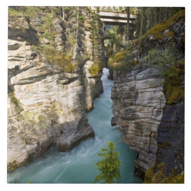 Carreau Canada, Alberta, parc national de Jasper, Athabasc (Devant)
