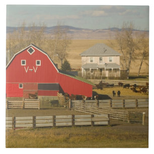 Carreau Canada, Alberta, Pincher Creek : grange rouge et r