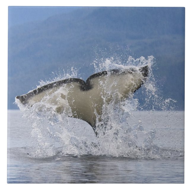 Carreau Canada, Colombie-Britannique, Île de Vancouver, (Devant)