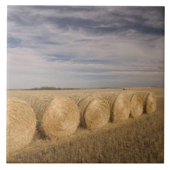 Carreau Canada, Saskatchewan, Craik : Roulements de foin / (Devant)
