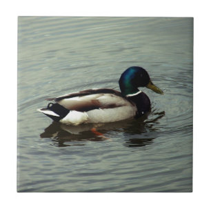 Carreau Canard à l'eau