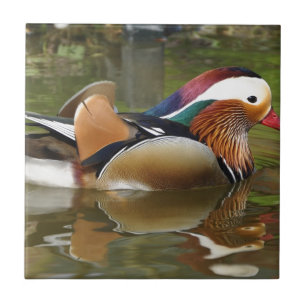 Carreau canard mandarin