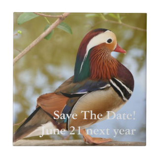 Carreau Canard mandarin