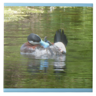 Carreau Canard Ringtaling couleur de bordure personnalisée