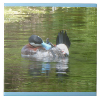 Carreau Canard Ringtaling couleur de bordure personnalisée