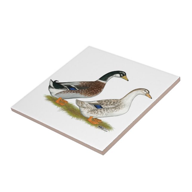 Carreau Canards : Joyeuse Argent (Côté)