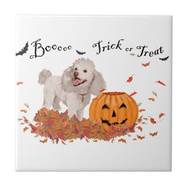 Carreau Caniche à Halloween (Devant)