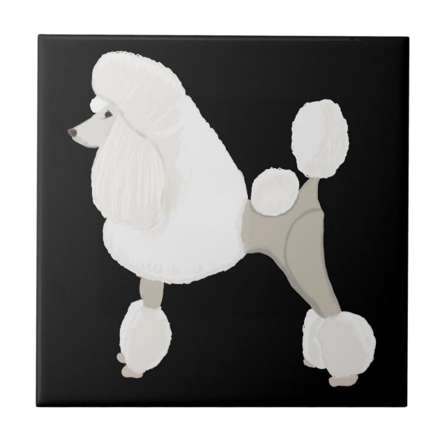 Carreau Caniche de Show Blanc (Devant)
