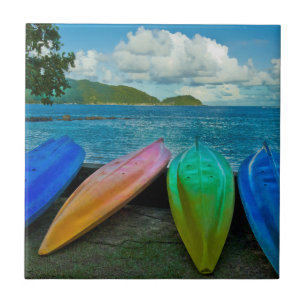 Carreau Canots Colorés Sur La Plage À Pago Pago