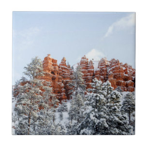 Carreau Canyon de Bryce