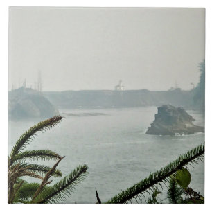 Carreau Cape Arago Lighthouse, OR
