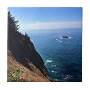 Carreau Cape Foulweather, Newport, Oregon