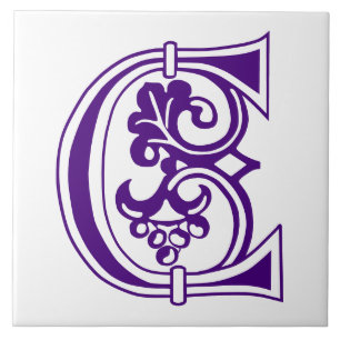 Carreau Capitale décorative botanique médiévale C