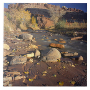Carreau CAPITOL REEF NATIONAL PARK, UT, États-Unis, Cotton
