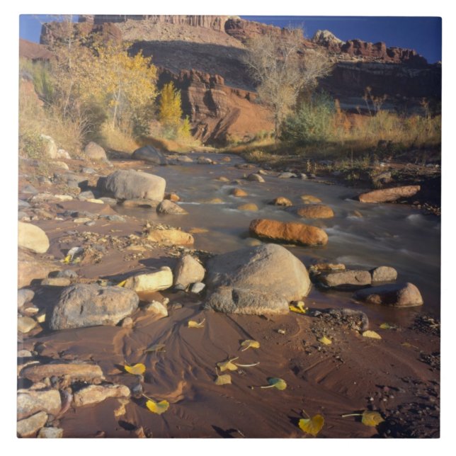 Carreau CAPITOL REEF NATIONAL PARK, UT, États-Unis, Cotton (Devant)