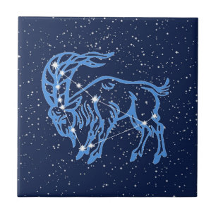 Carreau Capricorne Constellation et signe solaire avec ét
