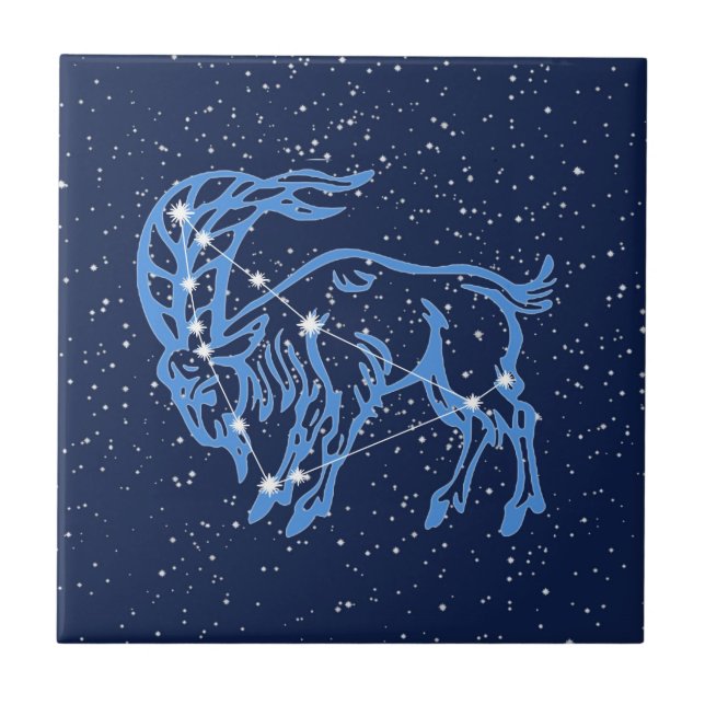 Carreau Capricorne Constellation et signe solaire avec éto (Devant)