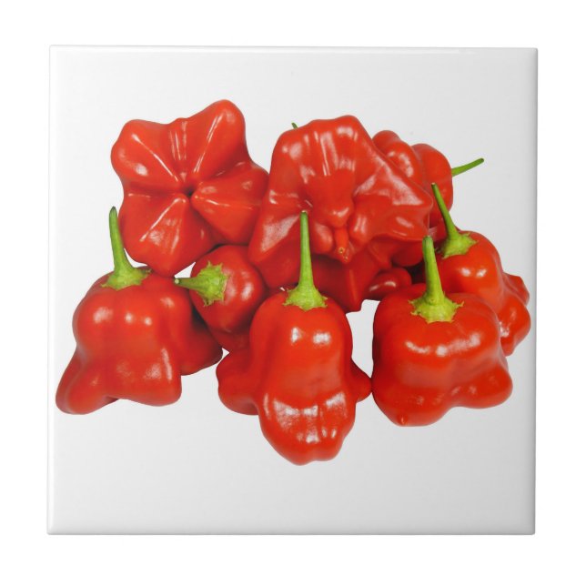 Carreau Capsicum Chinense Chili Tile (Devant)