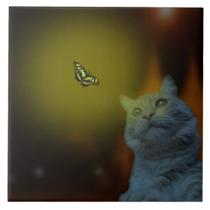 Carreau Captivé par la beauté : Chat Mesmerisé par Papillo