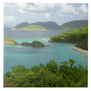 Carreau Caraïbes, Îles Vierges américaines, St. John, Tron