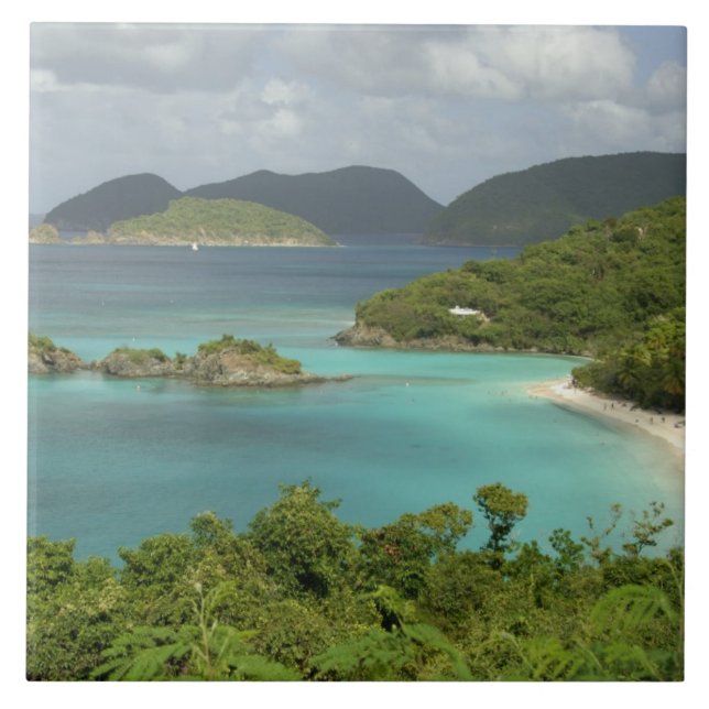 Carreau Caraïbes, îles Vierges américaines, St. John, Trun (Devant)